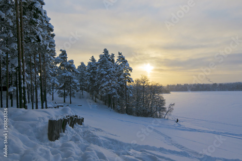 zimowy krajobraz
