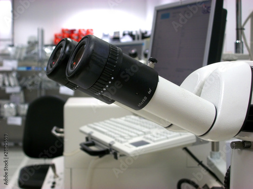 Stereomicroscope eyepieces