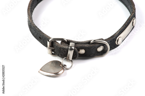 old and dirty dogs collar