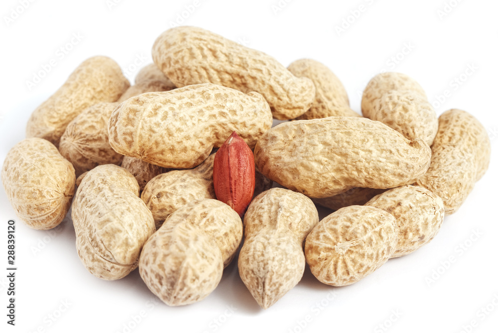 Red peanut kernel in bunch of whole shells on white Red peanut kernel in bunch of whole shells on white