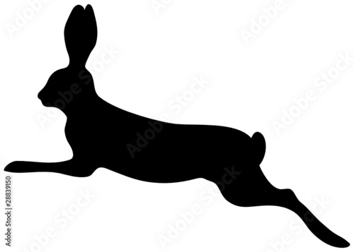 Bunny Jumping