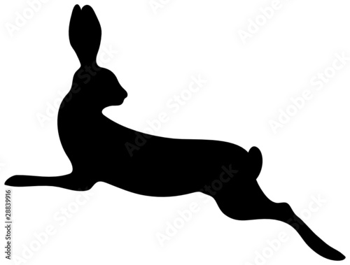 Bunny Jumping & Looking Back