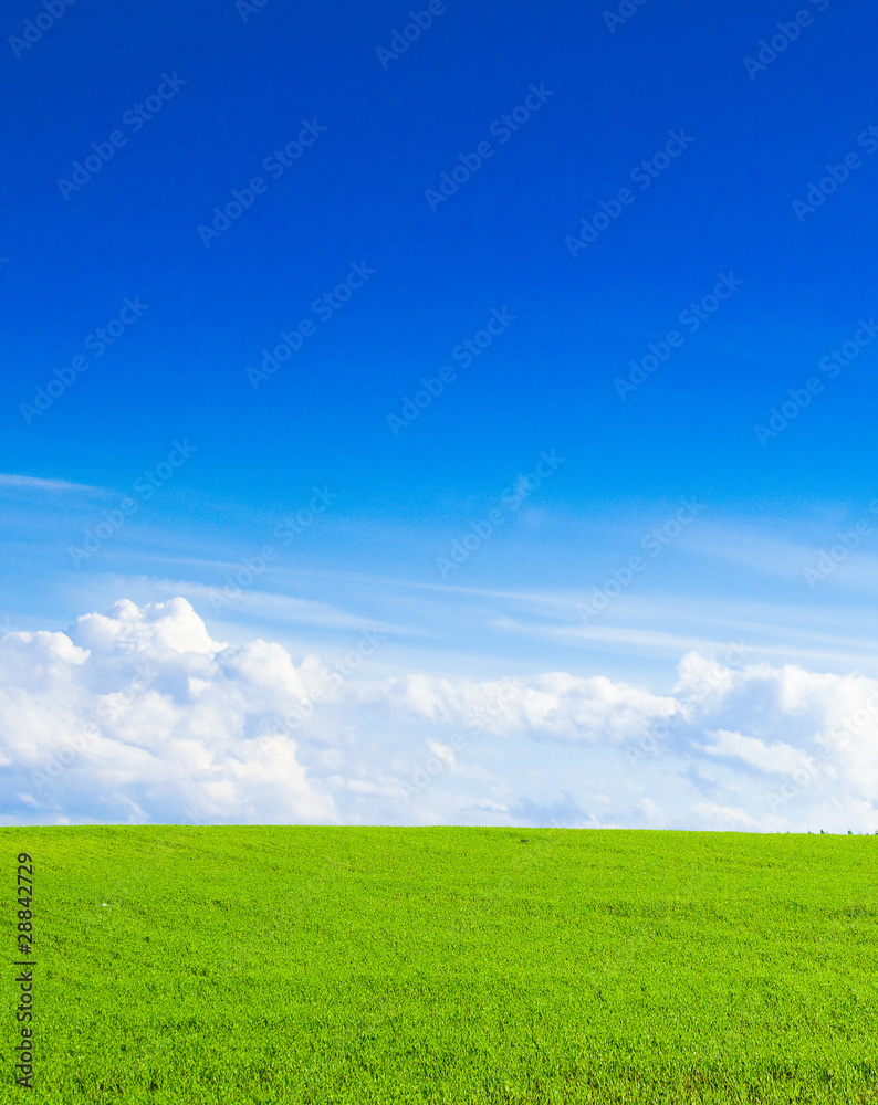 Fototapeta premium Forest Background Farm