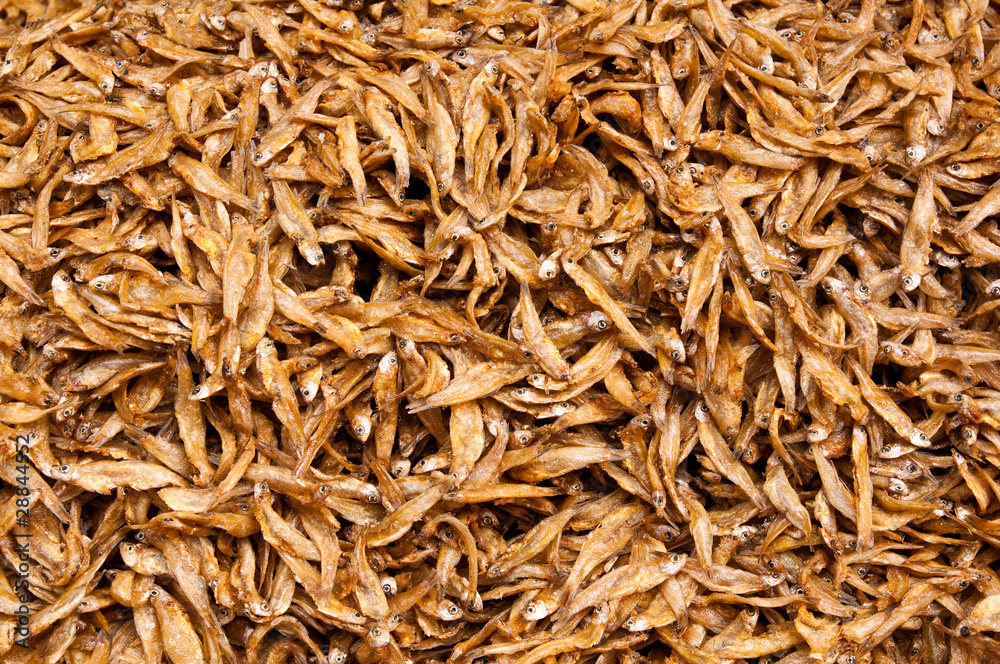 Dried small fishs Dried small fishs
