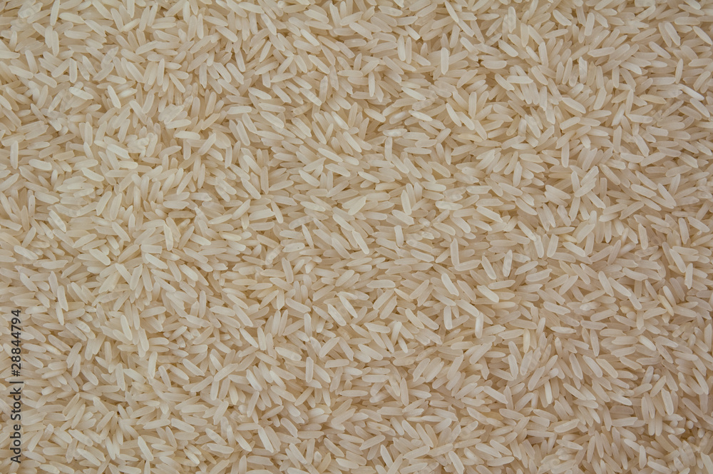 the rice the rice