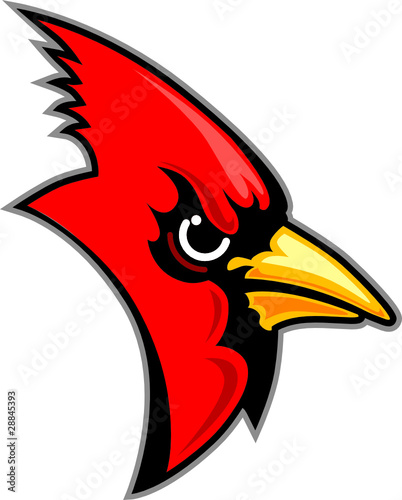 Cardinal