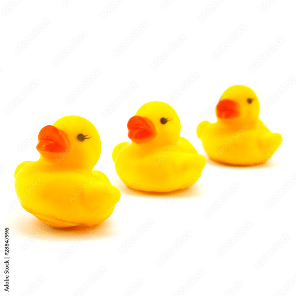 rubber duck rubber duck