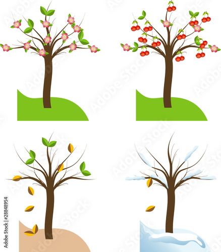 four seasons phases