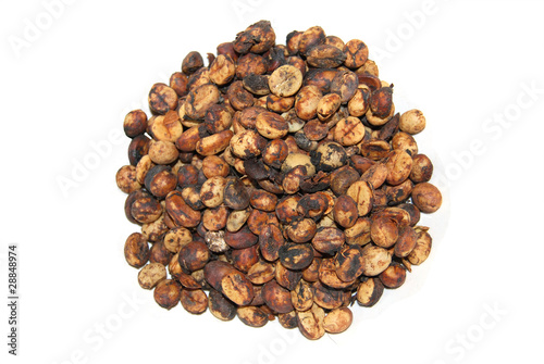 Kopi Luwak