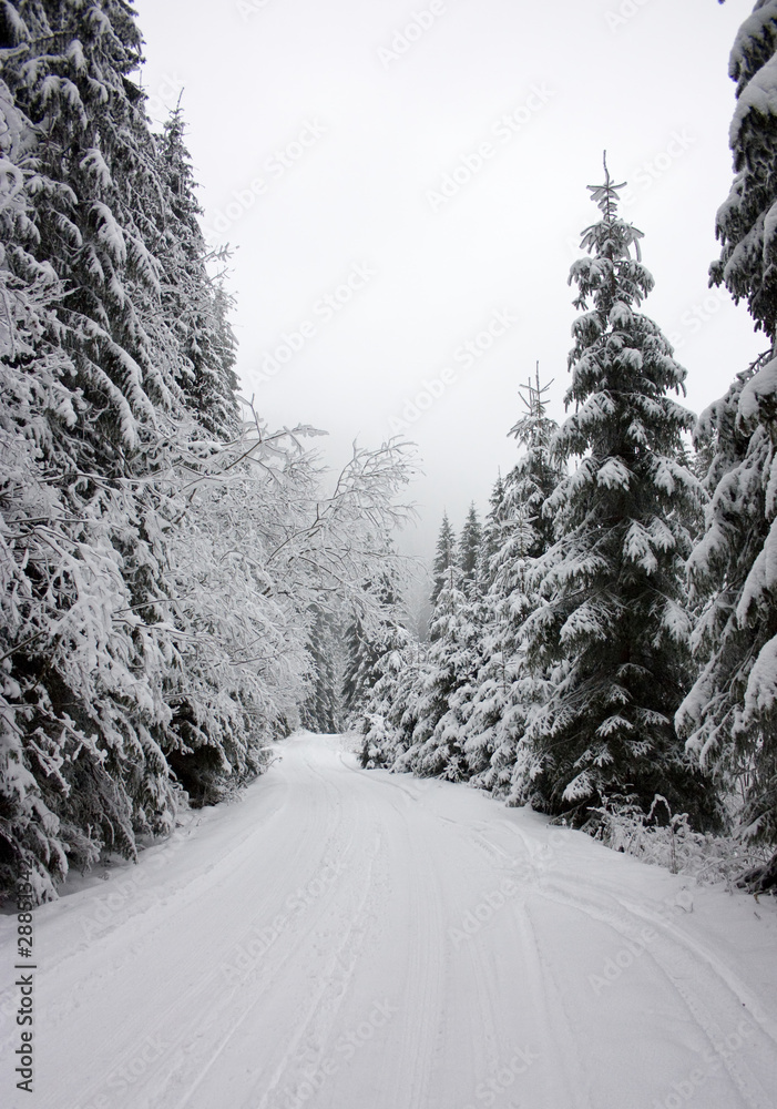 Fototapeta premium Winter road