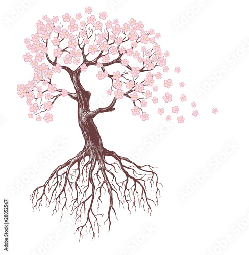 blooming tree