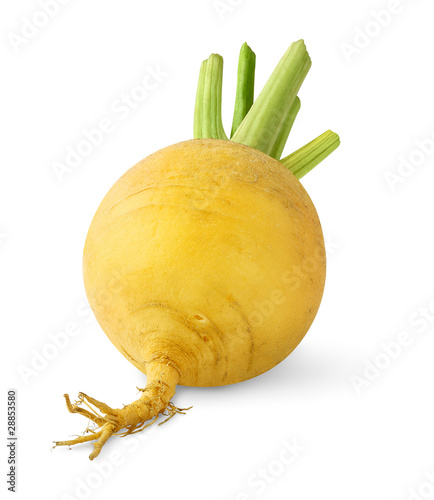 Quadro su tela Isolated turnip. One yellow turnip isolated on white background