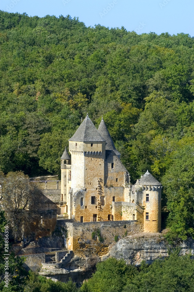 Chateau du Périgord