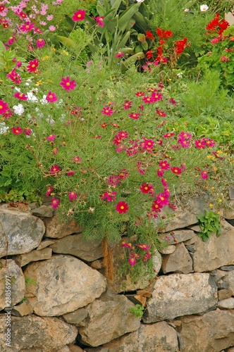 Garten auf Madeira © Fotolyse