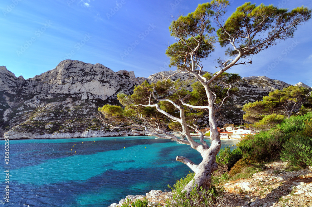 AFFICHE MARSEILLE LES CALANQUES