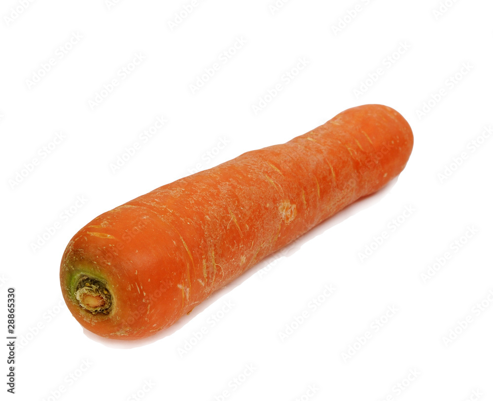 Carrot