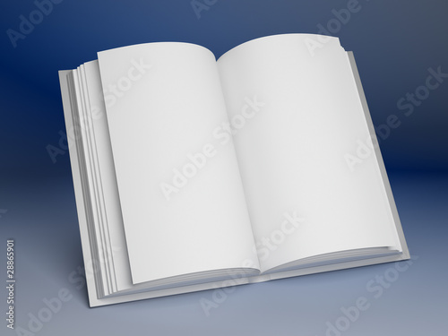 Blank open book