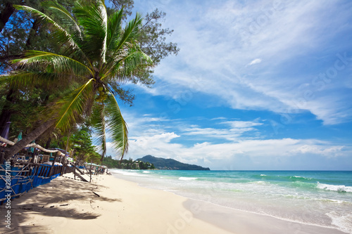 Tropical beach under blue sky. Thailand