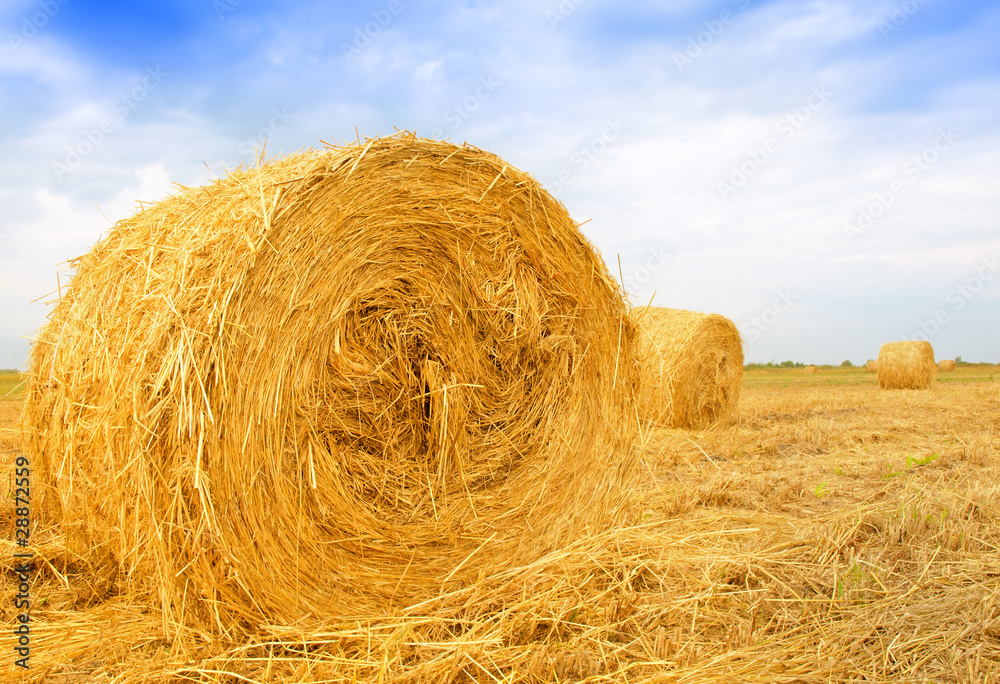 Straw bales