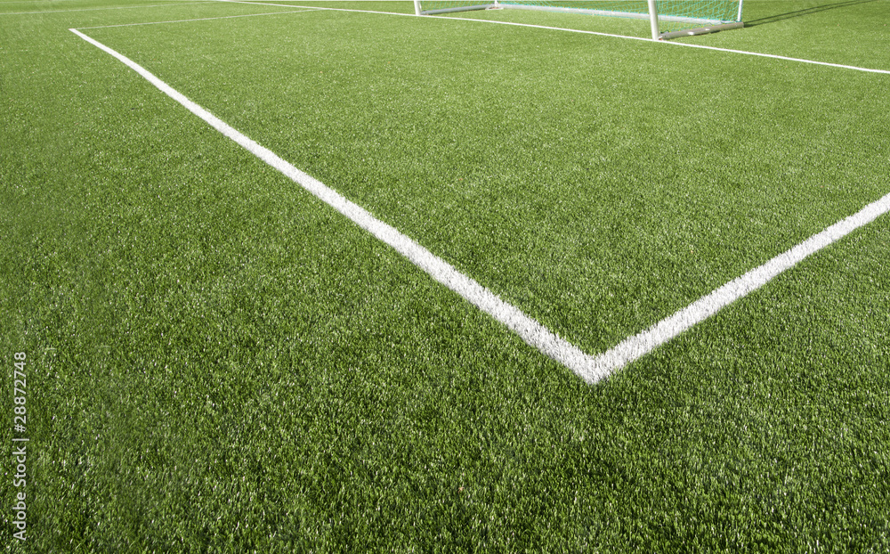 Obraz premium Soccer field