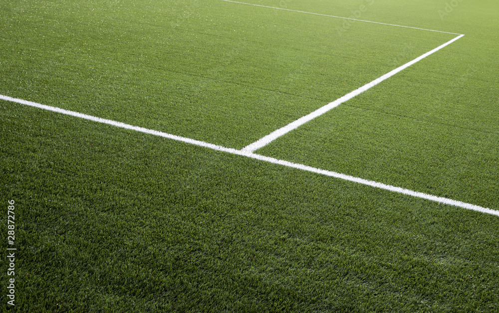 Obraz premium Soccer field