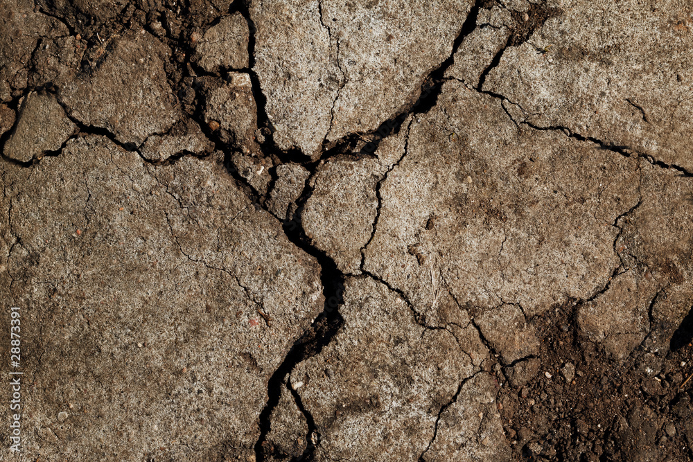 Obraz premium Earth dried up in drought