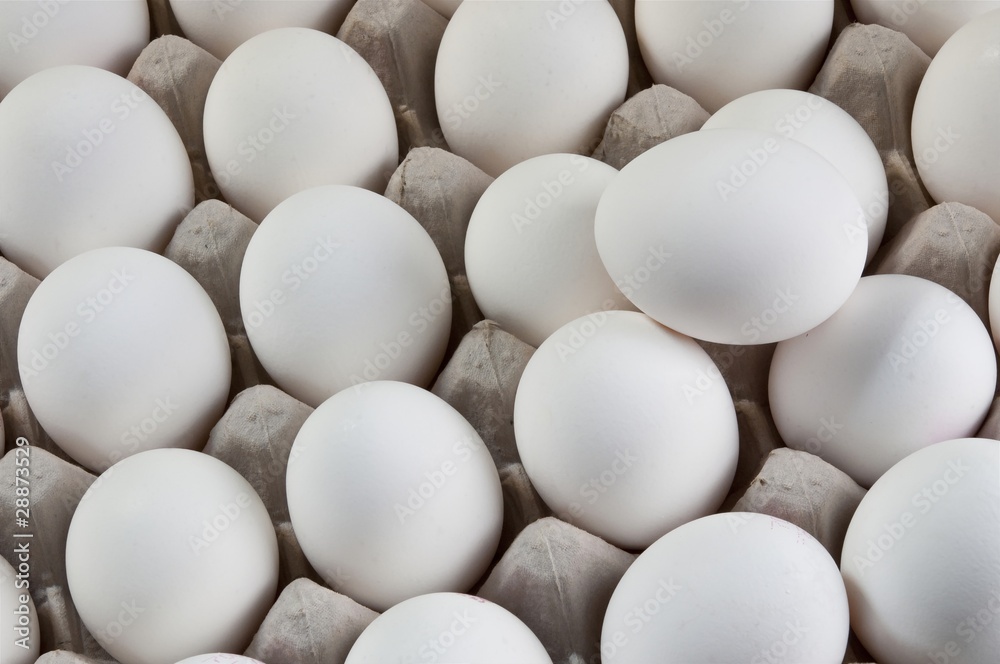 Large number of white eggs Large number of white eggs