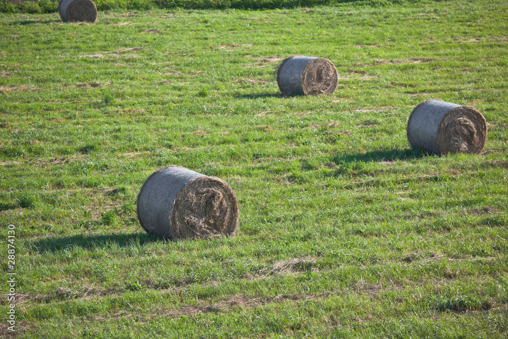 Hay bales Hay bales