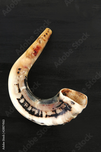 ram horn ( shofar ) on black