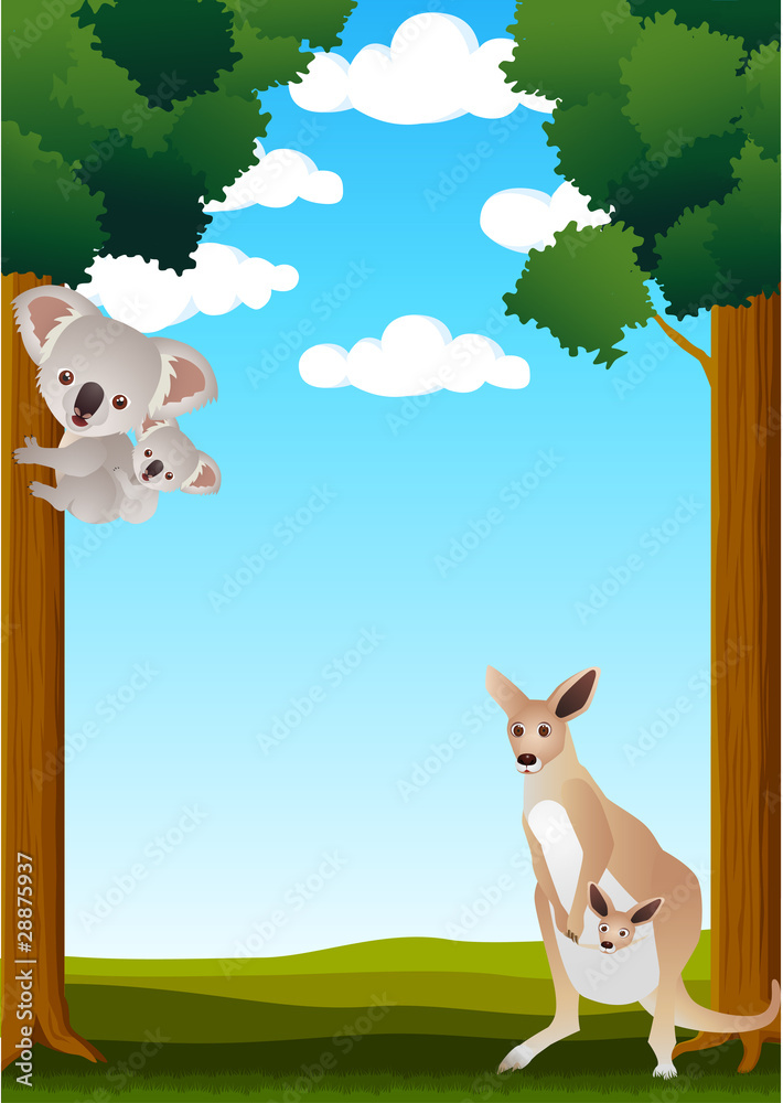 Fototapeta premium Animal australia