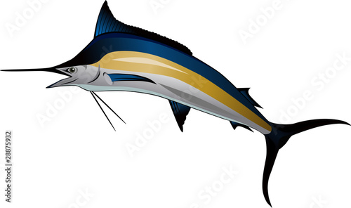 Marlin fish