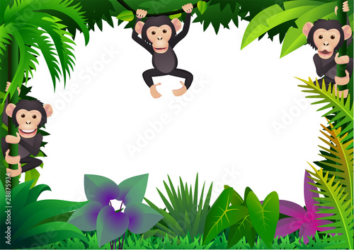 Chimpanzee in the jungle