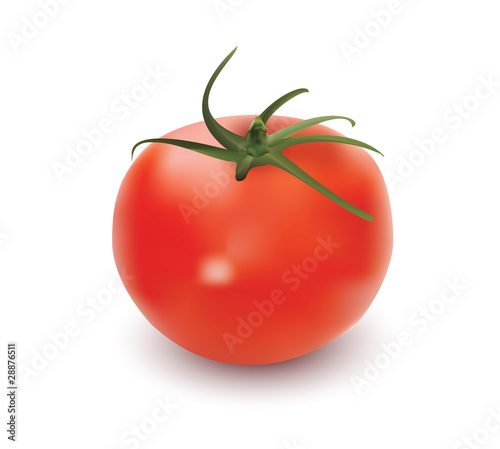 tomato