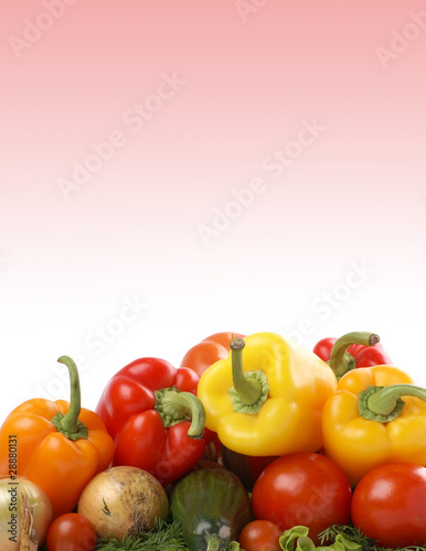 Fresh and tasty vegetables on a ligh blue gradient background