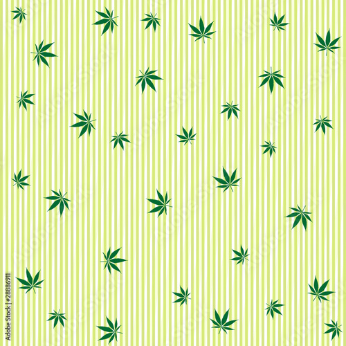 cannabis rain