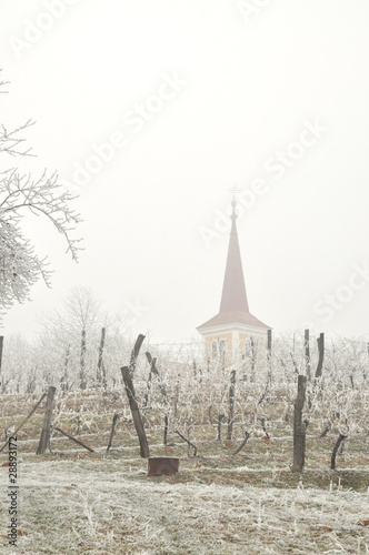 Church by the Vineyard. Slovenia © Andreja Donko