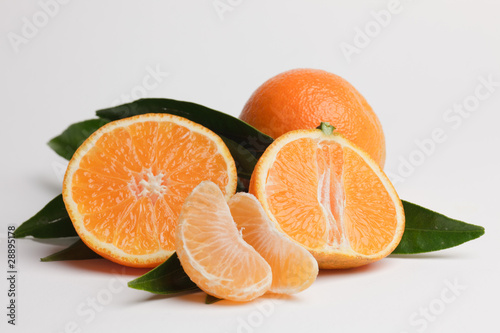 Citrus reticulata tropic fruit isolated on white