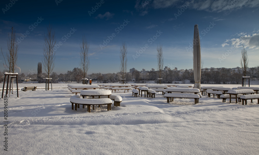 Fototapeta premium Winter