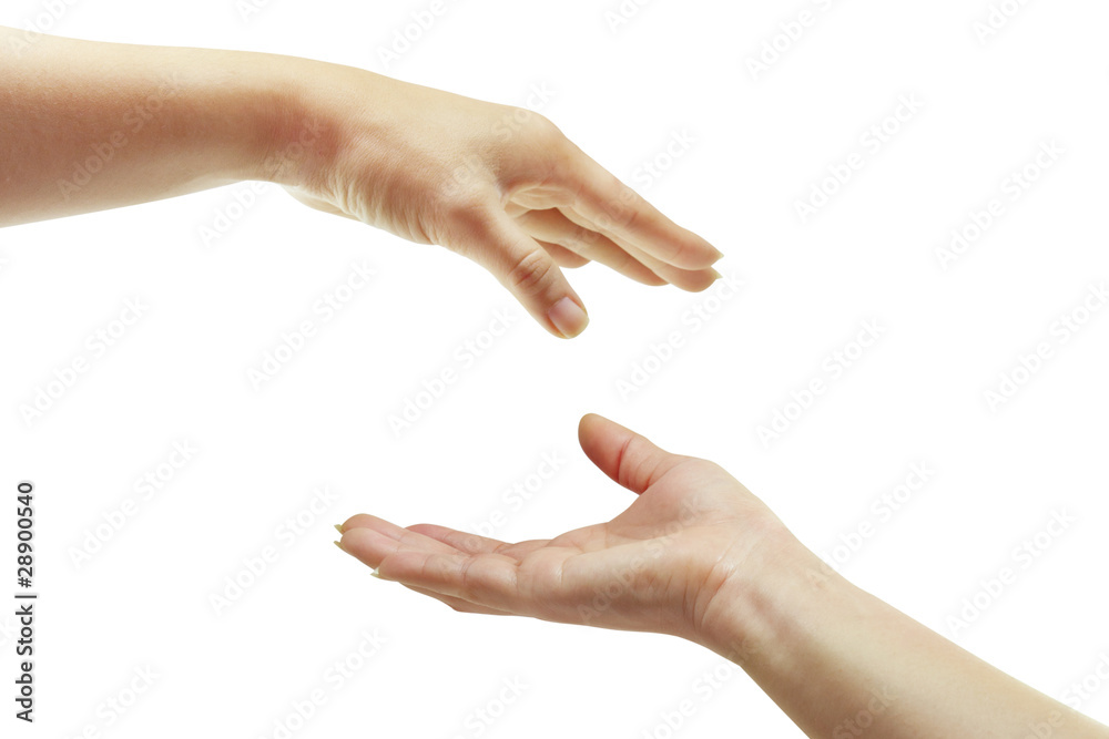 Beautiful hand Beautiful hand