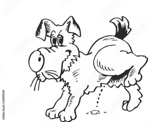 pinkelnder Hund
