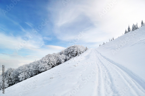 Winter road running onto hill top