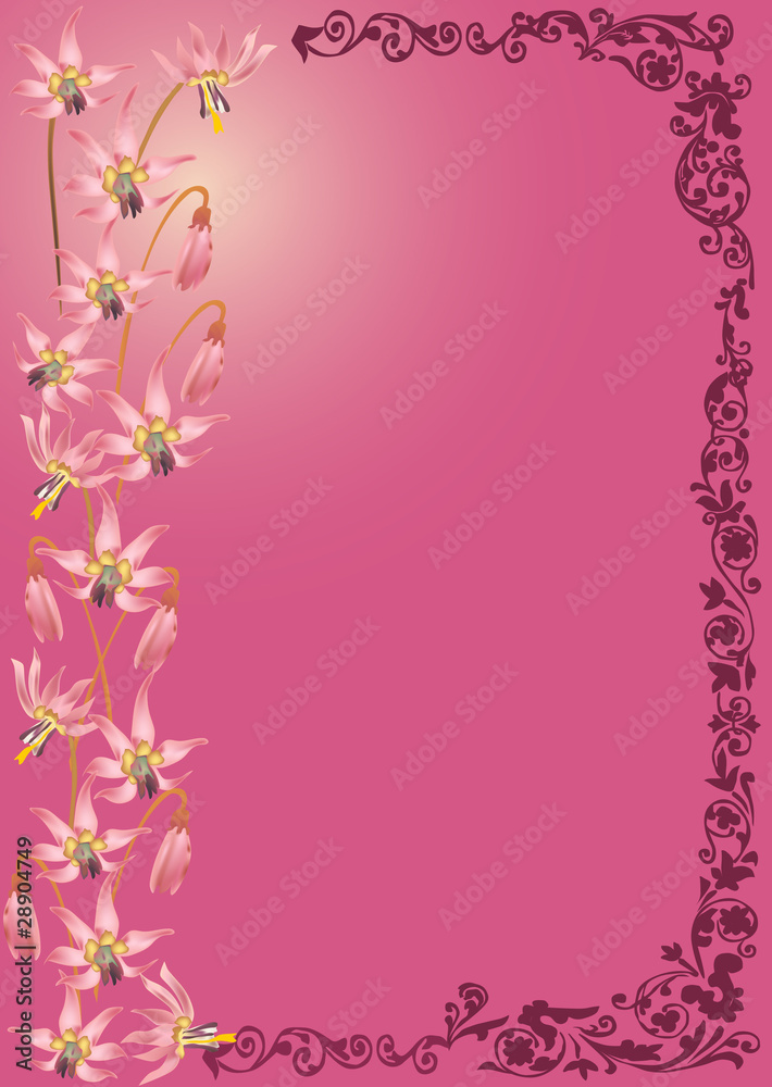 spring pink flower frame illustration