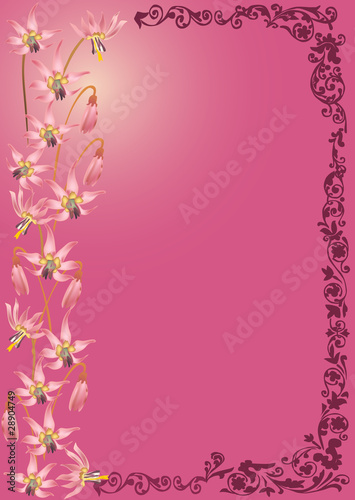 spring pink flower frame illustration