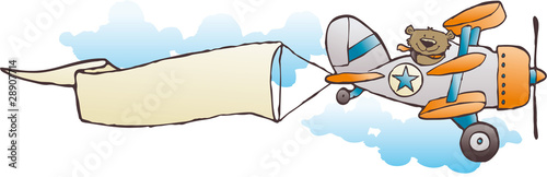 bear triplane with message banner
