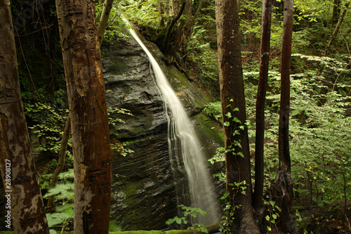 Piccola cascata nel bosco