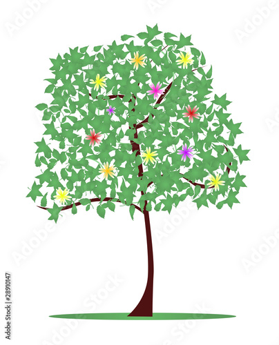Árbol