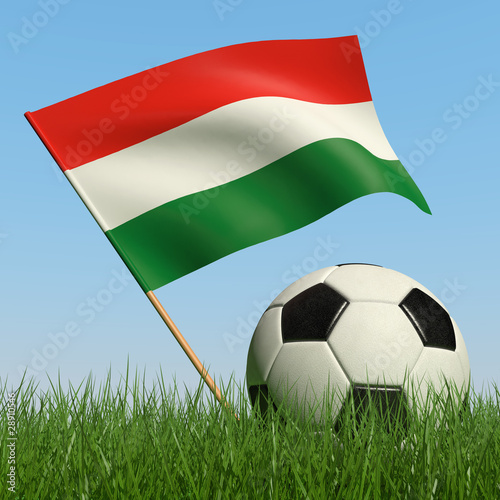 Soccer ball in the grass and flag of Hungary.