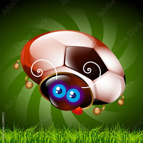 ladybug fan of football
