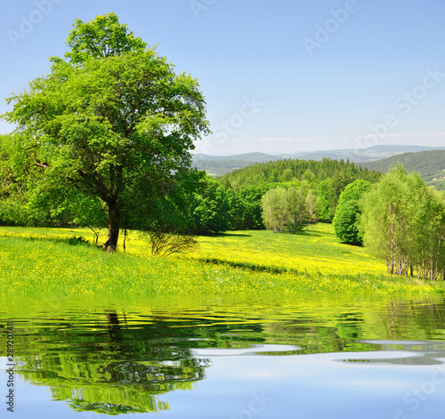 Spring landscape in the national park Sumava - Czech Republic