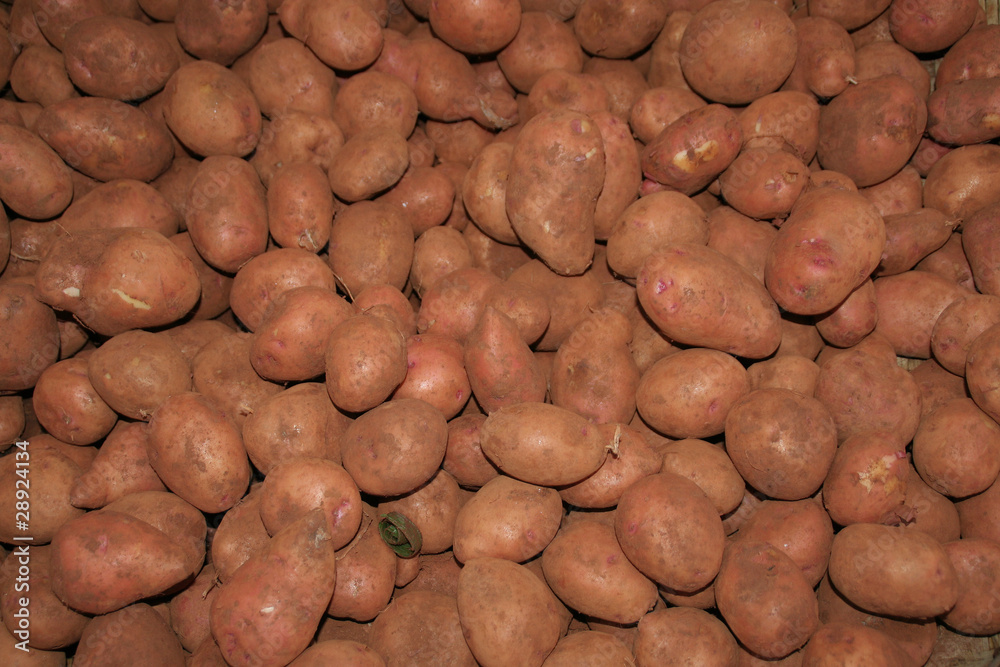 kartoffeln kartoffeln